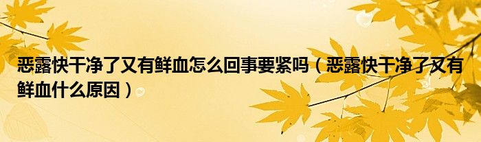 恶露快干净了又有鲜血怎么回事要紧吗（恶露快干净了又有鲜血什么原因）