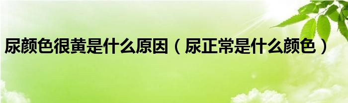 尿颜色很黄是什么原因（尿正常是什么颜色）