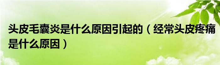 头皮毛囊炎是什么原因引起的（经常头皮疼痛是什么原因）