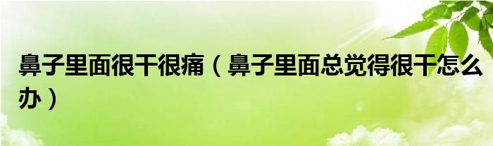 鼻子里面很干很痛（鼻子里面总觉得很干怎么办）