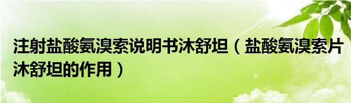 注射盐酸氨溴索说明书沐舒坦（盐酸氨溴索片沐舒坦的作用）