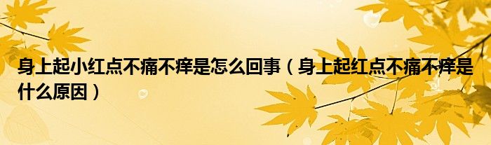 身上起小红点不痛不痒是怎么回事（身上起红点不痛不痒是什么原因）