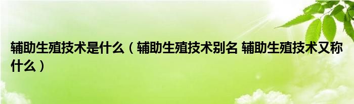 辅助生殖技术是什么（辅助生殖技术别名 辅助生殖技术又称什么）