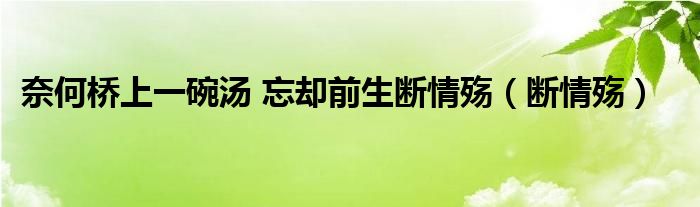 奈何桥上一碗汤 忘却前生断情殇（断情殇）