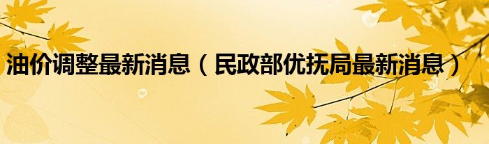 油价调整最新消息（民政部优抚局最新消息）