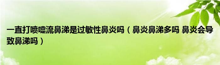 一直打喷嚏流鼻涕是过敏性鼻炎吗（鼻炎鼻涕多吗 鼻炎会导致鼻涕吗）