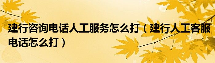 建行咨询电话人工服务怎么打（建行人工客服电话怎么打）