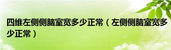 四维左侧侧脑室宽多少正常（左侧侧脑室宽多少正常）