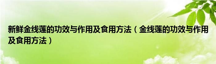 新鲜金线莲的功效与作用及食用方法（金线莲的功效与作用及食用方法）