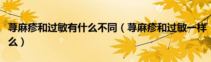 荨麻疹和过敏有什么不同（荨麻疹和过敏一样么）