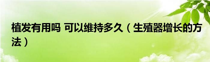 植发有用吗 可以维持多久（生殖器增长的方法）