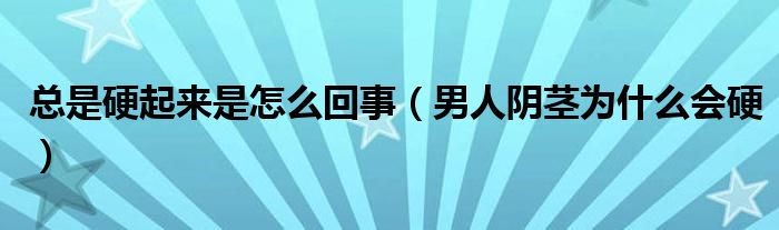 总是硬起来是怎么回事（男人阴茎为什么会硬）