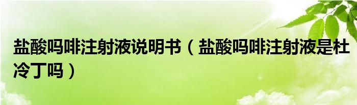 盐酸吗啡注射液说明书（盐酸吗啡注射液是杜冷丁吗）