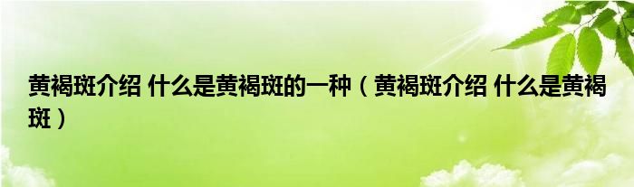 黄褐斑介绍 什么是黄褐斑的一种（黄褐斑介绍 什么是黄褐斑）