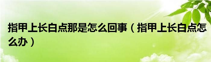 指甲上长白点那是怎么回事（指甲上长白点怎么办）