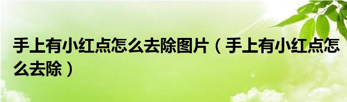 手上有小红点怎么去除图片（手上有小红点怎么去除）