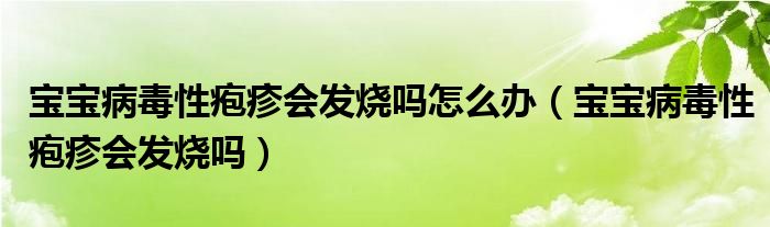 宝宝病毒性疱疹会发烧吗怎么办（宝宝病毒性疱疹会发烧吗）