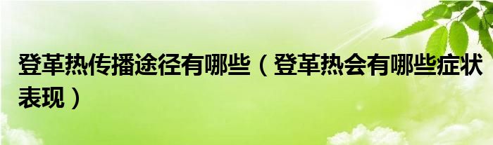 登革热传播途径有哪些（登革热会有哪些症状表现）