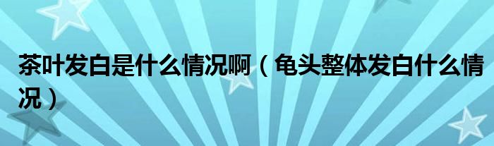 茶叶发白是什么情况啊（龟头整体发白什么情况）