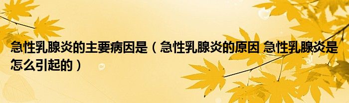 急性乳腺炎的主要病因是（急性乳腺炎的原因 急性乳腺炎是怎么引起的）