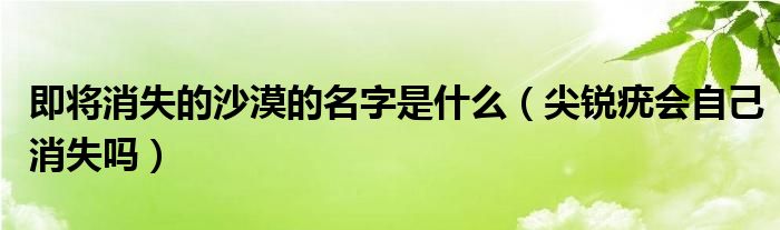 即将消失的沙漠的名字是什么（尖锐疣会自己消失吗）