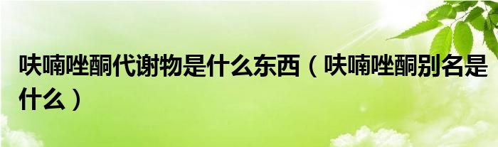 呋喃唑酮代谢物是什么东西（呋喃唑酮别名是什么）