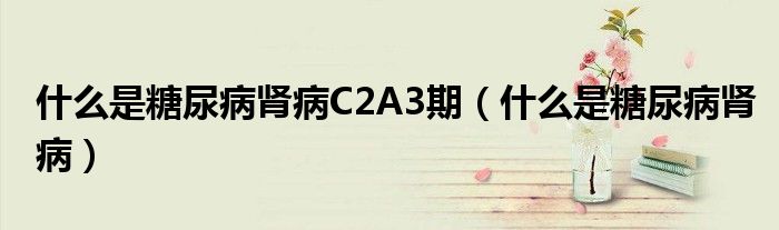 什么是糖尿病肾病C2A3期（什么是糖尿病肾病）