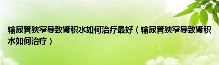 输尿管狭窄导致肾积水如何治疗最好（输尿管狭窄导致肾积水如何治疗）