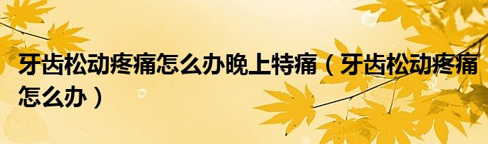 牙齿松动疼痛怎么办晚上特痛（牙齿松动疼痛怎么办）