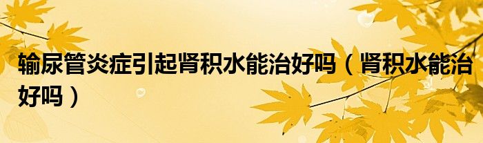 输尿管炎症引起肾积水能治好吗（肾积水能治好吗）