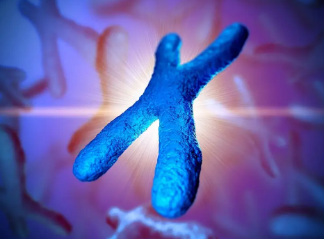 基因沉默复合物联手灭活 X 染色体