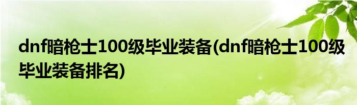 dnf暗枪士100级毕业装备(dnf暗枪士100级毕业装备排名)