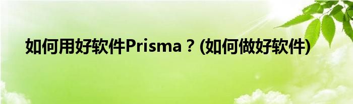 如何用好软件Prisma？(如何做好软件)