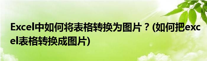 Excel中如何将表格转换为图片？(如何把excel表格转换成图片)