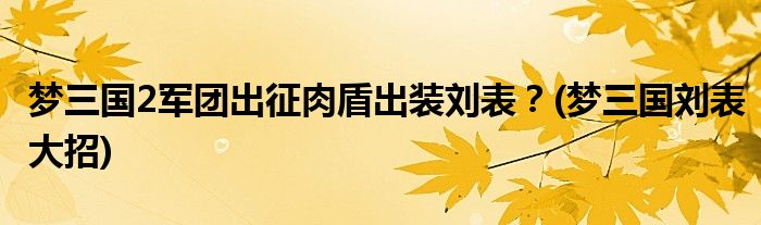 梦三国2军团出征肉盾出装刘表？(梦三国刘表大招)