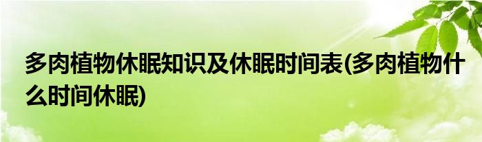 多肉植物休眠知识及休眠时间表(多肉植物什么时间休眠)