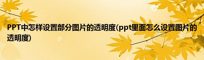 PPT中怎样设置部分图片的透明度(ppt里面怎么设置图片的透明度)