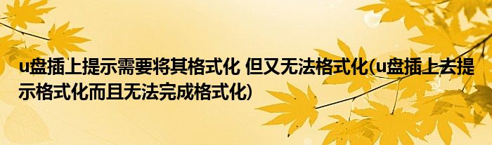 u盘插上提示需要将其格式化 但又无法格式化(u盘插上去提示格式化而且无法完成格式化)