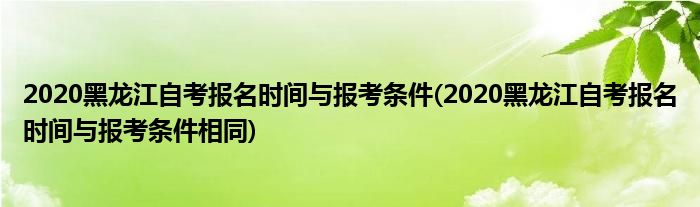 2020黑龙江自考报名时间与报考条件(2020黑龙江自考报名时间与报考条件相同)