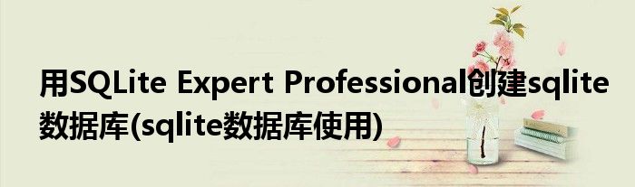 用SQLite Expert Professional创建sqlite数据库(sqlite数据库使用)