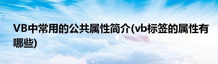 VB中常用的公共属性简介(vb标签的属性有哪些)