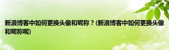 新浪博客中如何更换头像和昵称？(新浪博客中如何更换头像和昵称呢)