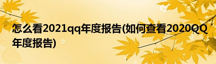 怎么看2021qq年度报告(如何查看2020QQ年度报告)