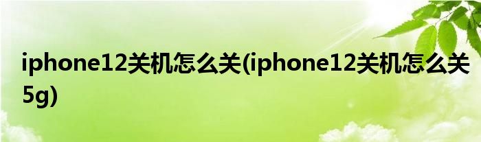 iphone12关机怎么关(iphone12关机怎么关5g)