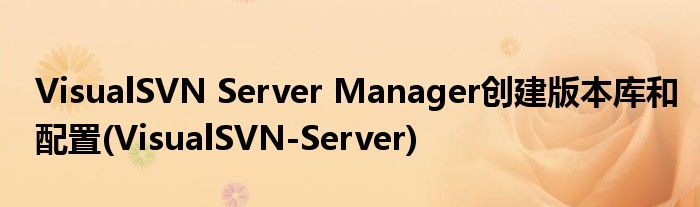 VisualSVN Server Manager创建版本库和配置(VisualSVN-Server)