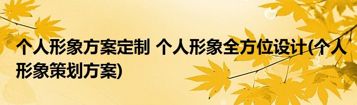 个人形象方案定制 个人形象全方位设计(个人形象策划方案)