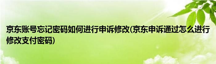 京东账号忘记密码如何进行申诉修改(京东申诉通过怎么进行修改支付密码)