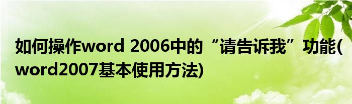 如何操作word 2006中的“请告诉我”功能(word2007基本使用方法)