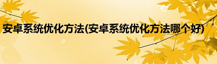 安卓系统优化方法(安卓系统优化方法哪个好)