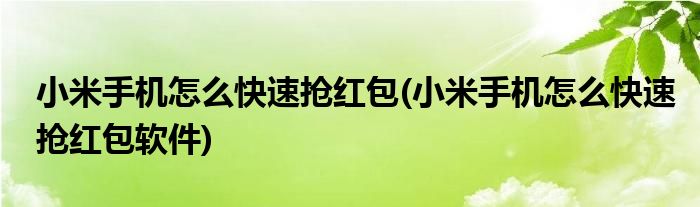 小米手机怎么快速抢红包(小米手机怎么快速抢红包软件)